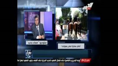 بالفيديو.. سفير مصر بهولندا: الشرطة تصدت لعناصر الإرهابية