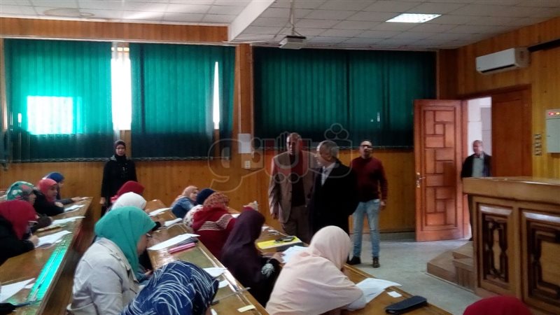 فيتو