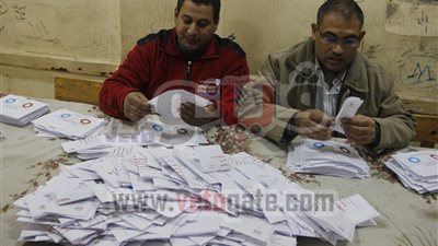 88.4 % يؤيدون الدستور فى الوادى الجديد.. و6. 11% يعارضونه