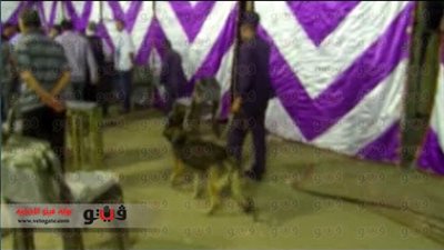 بالفيديو والصور.. الكلاب البوليسية تمشط منطقة «عزبة النخل» بعد انفجار قنبلة