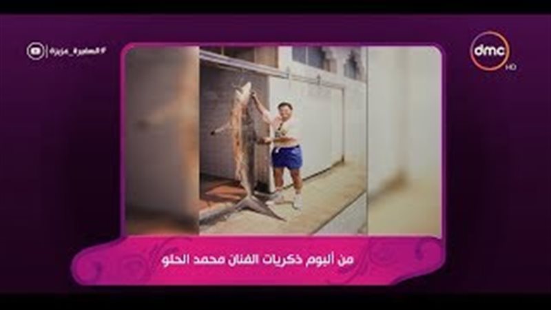 فيتو
