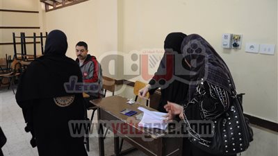 مرعى: الأحزاب السياسية طعنت على نتائج الاستفتاء بالشرقية