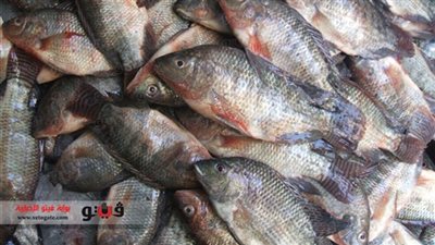 تباين أسعار 