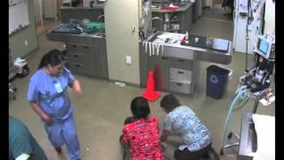 بالفيديو.. كلب يحمل طبيبة بيطرية فوق ظهره ليهرب من عملية جراحية