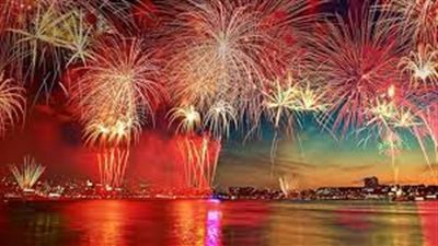 خبراء: الألعاب النارية تضر بصحة الحيوانات