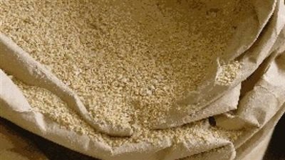 125 جنيهًا لشيكارة الدشيش الأبيض بالقاهرة.. اليوم