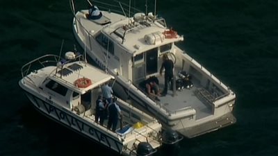 أسرة رجل أعمال بريطاني شهير ضحايا حادث سقوط طائرة قرب سيدني