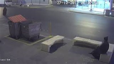 لحظة تعرض امرأة مسنة لحادث مروع أثناء عبورها الطريق (فيديو)