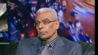 عاصم عبد المعطي: ضعف الأجهزة الرقابية وراء انتشار الفساد