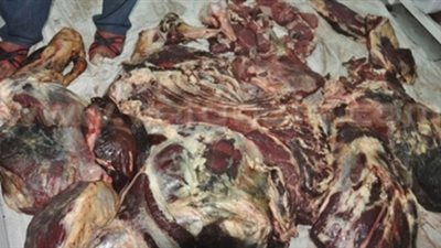 ضبط 2 طن لحوم فاسدة بأرض الملاءة في حلوان
