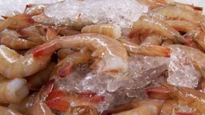 بورصة الأسماك..انخفاض 