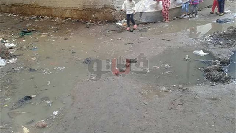 فيتو