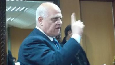 شلبى: لا حديث عن الدستور قبل فحص تجاوزات الاستفتاء