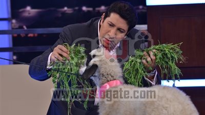 «ممدوح حمزة» يهدى «خروفًا» لهانى رمزى