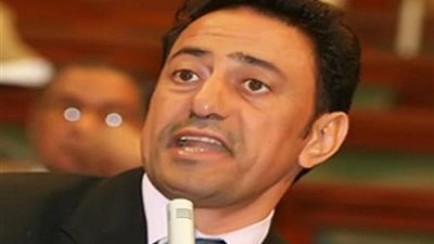 «أبو بركة»: الشعب قال كلمته.. ويجب محاكمة القضاة المضربين