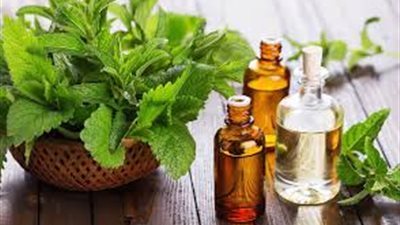 النعناع يحتوي على «روز كارينيك» المضاد للأكسدة والمسهل لعملية الهضم