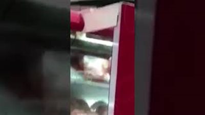 قطة تأكل اللحوم من ثلاجة أحد المحال الشهيرة تثير غضب السعوديين (فيديو)