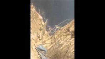 بالفيديو.. ذعر بين أهالي شبرا الخيمة بعد العثور على تمساح بمسطرد