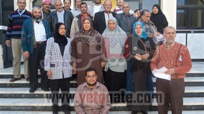 بالفيديو.. موظفو التنظيم بجنوب سيناء يواصلون إضرابهم لليوم الثالث