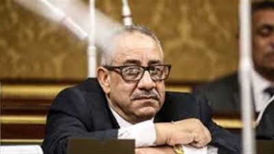 برلماني مهاجمًا الحكومة: قراراتها غير مناسبة وتزيد الوضع سوءًا (فيديو)