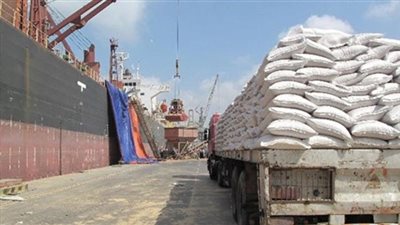 بالفيديو.. الحجر الزراعي ينفي وصول شحنة قمح مصابة بـ«فطرالأرجوت»