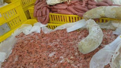 ضبط مصنع لفرم اللحوم الفاسدة بالخصوص