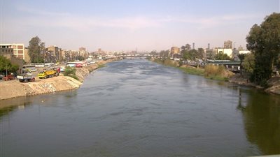 البيئة: رصد تمساحين في ترعة الإسماعيلية بمسطرد