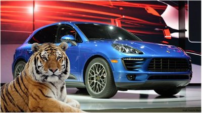 بورش تمنع ظهور النمور الحية في دعاية سياراتها