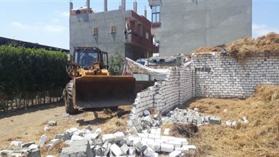 استرداد ١٠ أفدنة في إزالة ٣٤٣ حالة تعد على الأراضي بالدقهلية l صور