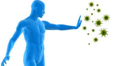 الكشف عن سبب ضعف المناعة لدى الإنسان