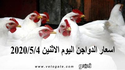 اسعار الدواجن اليوم الاثنين 2020/5/4