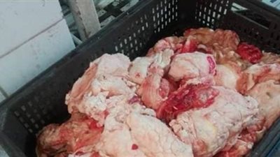 ضبط طن دهون حيوانية ودواجن فاسدة في القاهرة | صور