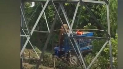 معركة شرسة بين نمر ومزارعين.. وأحدهم يدافع عن نفسه | فيديو