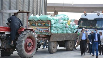 صوامع الدقهلية تستقبل ١٠٤ آلاف طن قمح