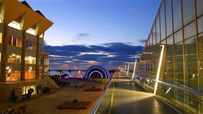 محاضرة بمكتبة الإسكندرية عن 