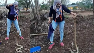 سيدة هندية تغامر بحياتها من أجل إنقاذ كوبرا | فيديو