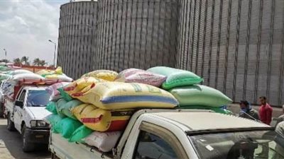 توريد351 ألف طن قمح بالشرقية l صور