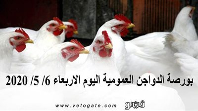 بورصة الدواجن العمومية اليوم الاربعاء 6/ 5/ 2020