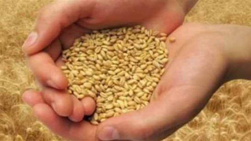 حكم الشرع في إخراج