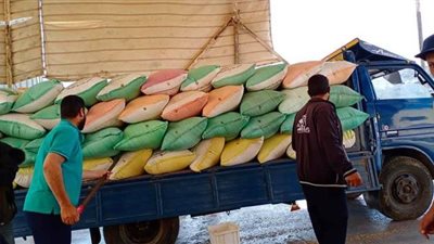 توريد 90 ألفا و112 طن قمح لشون وصوامع كفر الشيخ منذ بداية موسم الحصاد