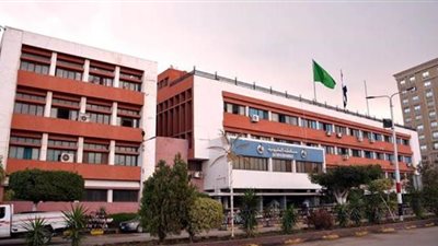 حصاد 34.4 ألف فدان قمح وتوريد 82 ألف طن لصوامع وشون القليوبية