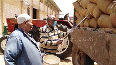 توريد 112 ألف طن قمح بصوامع وشون الدقهلية | صور