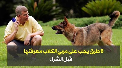 6 طرق يجب على مربي الكلاب معرفتها قبل الشراء |فيديو