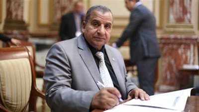 برلمانى: تنظيم الأسواق قبل عيد الفطر لمنع التكدس والزحام 