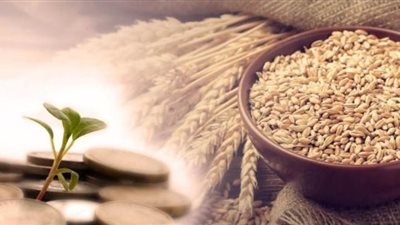 هل يجب على المرأة إخراج زكاة الفطر وهل في المهر زكاة؟