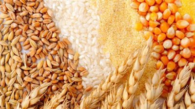 البنك المركزي: تراجع بواردات مصر من القمح والذرة والأدوية خلال 3 شهور