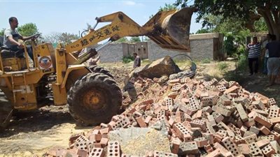 ٢٠ صورة ترصد إزالة ٤٥٧ حالة تعد على الأراضي في الدقهلية