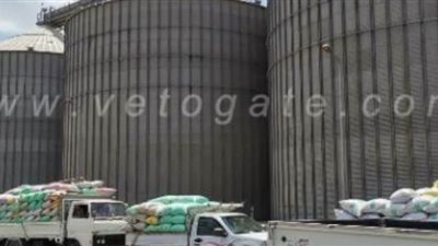 توريد 408 آلاف طن قمح لصوامع الشرقية | صور