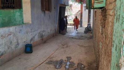 تطهير وتعقيم الحلمية والقطاوية بالشرقية بسبب حالتى كورونا | صور