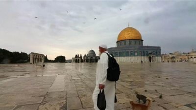 بسبب أزمة كورونا.. القطط حزينة في المسجد الأقصي| فيديو